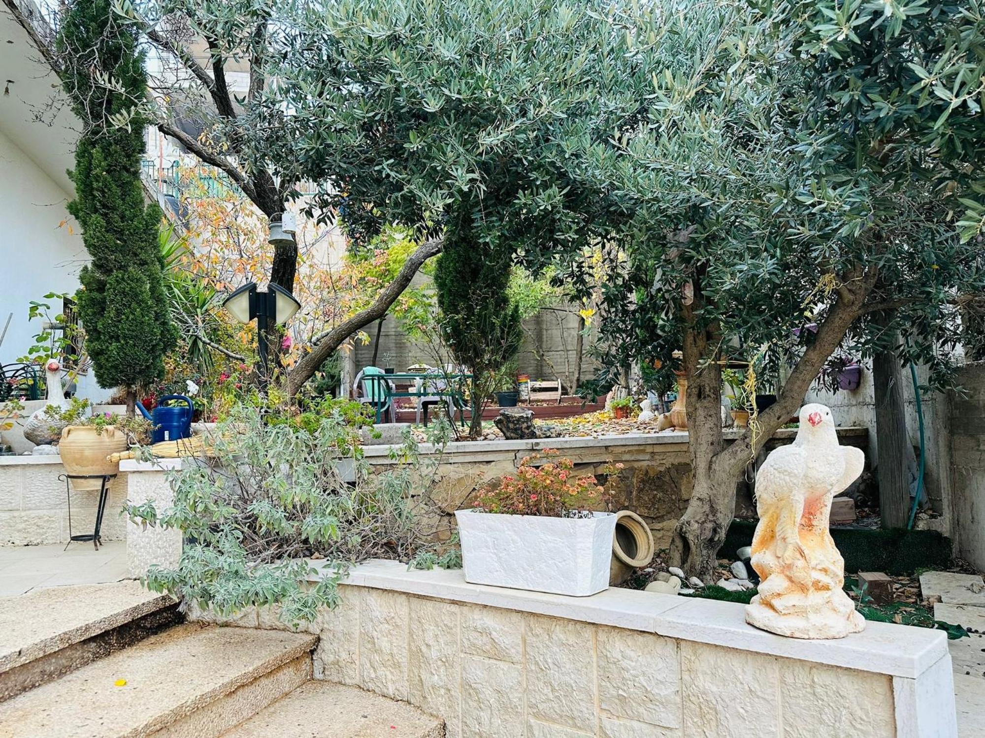 Hermon Accommodation Majdal Shams Δωμάτιο φωτογραφία
