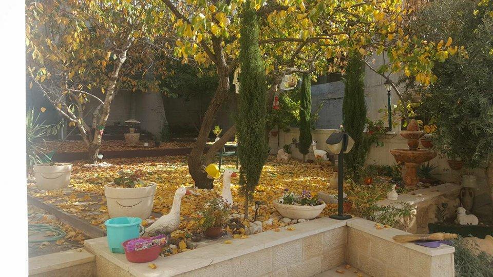 Hermon Accommodation Majdal Shams Εξωτερικό φωτογραφία