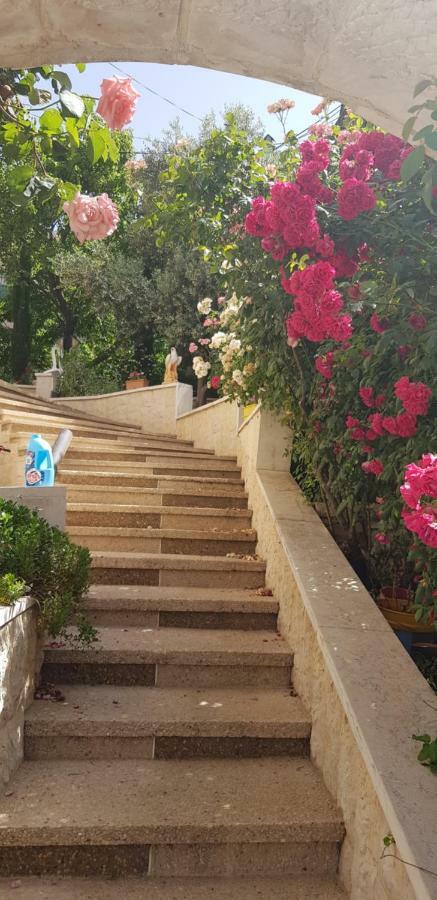 Hermon Accommodation Majdal Shams Εξωτερικό φωτογραφία